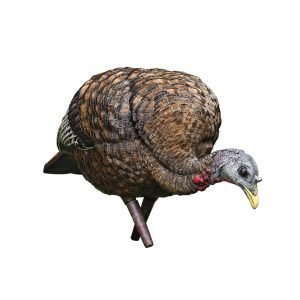 Avian X LCD Feeder Hen