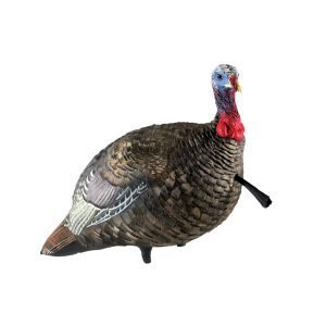 Avian X LCD Quarter-Strut Jake